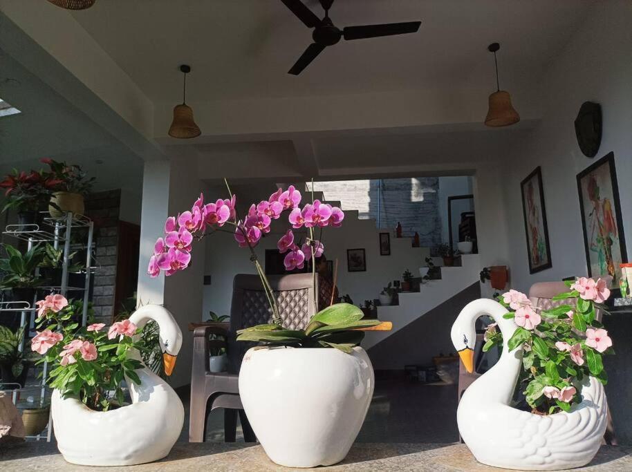 Almond Villa Find Your Paradise Alībāg Exterior photo